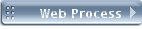 Web Process